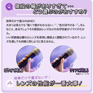 ビクセン 双眼鏡 Vixen アリーナH+8x...の詳細画像5
