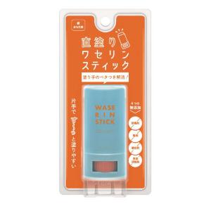 アロインス化粧品 マム ワセリンスティック 17gの商品画像