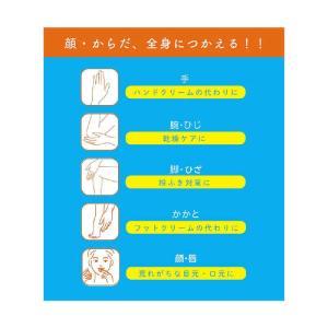 アロインス化粧品 マム ワセリンスティック 17gの詳細画像4