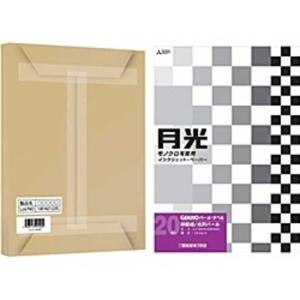 ピクトリコ GEKKO パール ラベル GKNA3+B50