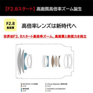 タムロン カメラレンズ (ソニーE用/フルサイ...の詳細画像4