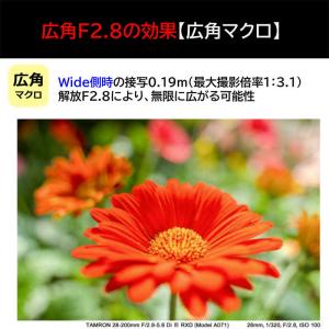 タムロン カメラレンズ (ソニーE用/フルサイ...の詳細画像5