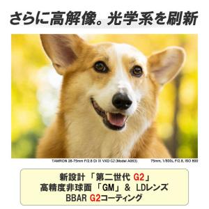 タムロン カメラレンズ (ソニーE用/フルサイ...の詳細画像3