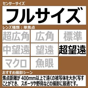 ニコン Nikon カメラレンズ NIKKOR...の詳細画像1
