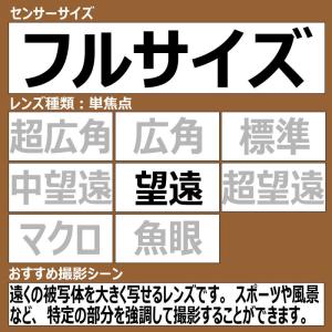 ニコン Nikon カメラレンズ [ニコンF ...の詳細画像1
