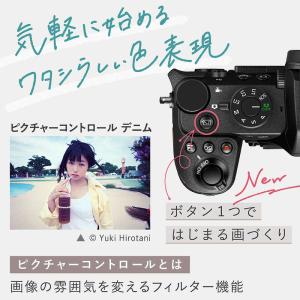 ニコン Nikon ミラーレス一眼カメラ Z5...の詳細画像4