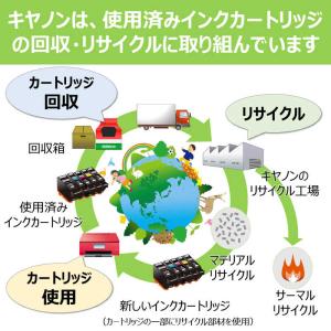 キヤノン CANON 純正インクタンク プリン...の詳細画像4