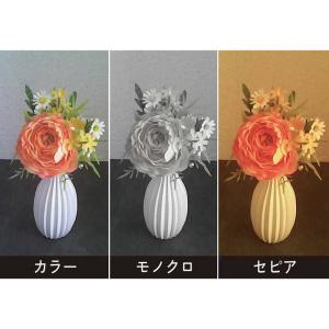 ケンコー トイデジタルカメラ レトロデジ90 ...の詳細画像5