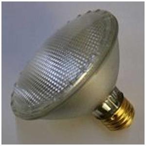 Panasonic（パナソニック） JBD100V45WNPE 非常灯用ハロゲン電球 100V