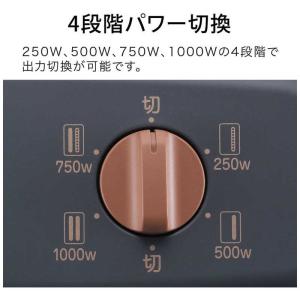 アラジン 遠赤グラファイトヒーター 1000W...の詳細画像3