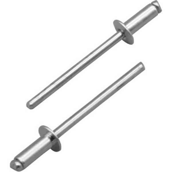 ロブテックス　ブラインドリベット スティール/スティール 8-6(250　NS86A