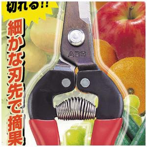 アルスコーポレーション 摘果鋏ロングタイプ 1...の詳細画像1