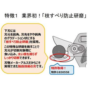 アルスコーポレーション アルス コードレス充電...の詳細画像5