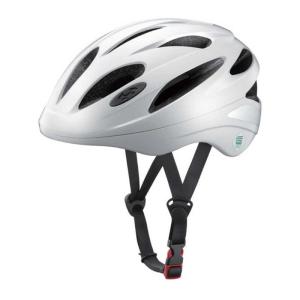 送料無料 オージーケーカブト (OGK Kabuto) SN-13L ブラックムジ 57