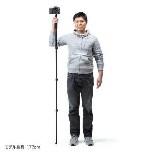 サンワサプライ マルチスタンド(一脚) DG-...の詳細画像4