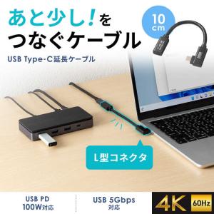 サンワサプライ USB5Gbps Type-C...の詳細画像2
