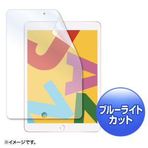 サンワサプライ　Ａｐｐｌｅ　第７世代ｉＰａｄ１０．２インチ用ブルーライトカット液晶保護指紋防止光沢フィルム　LCD-IPAD12BC