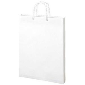 菅公工業 額縁入れバッグ B4用 白 10枚 ベ586
