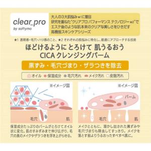 コーセーコスメポート ソフティモ クリアプロ ...の詳細画像2