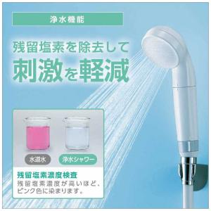 三栄水栓 浄水ウルトラファインバブルシャワー ...の詳細画像5