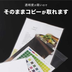 セキセイ ポケットフタ付き A4 azonx ...の詳細画像3