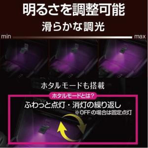 星光産業 スイングUSBライト (8色の単色固...の詳細画像3
