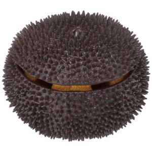 メガハウス 解体パズルLite 02. うにパズル