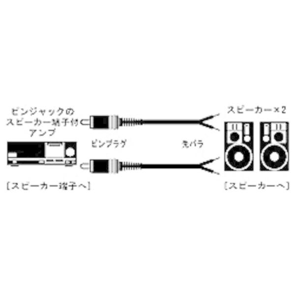 JVC　AVコード ピンプラグ⇔先バラスピーカーケーブル(2本1組) (3.0m)　CN-158A