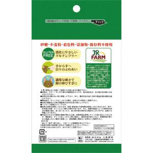 三晃商会 ベジドロップ ビーツ 50gの詳細画像2