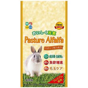 ハイペット　パスチャーアルファルファ 400g　