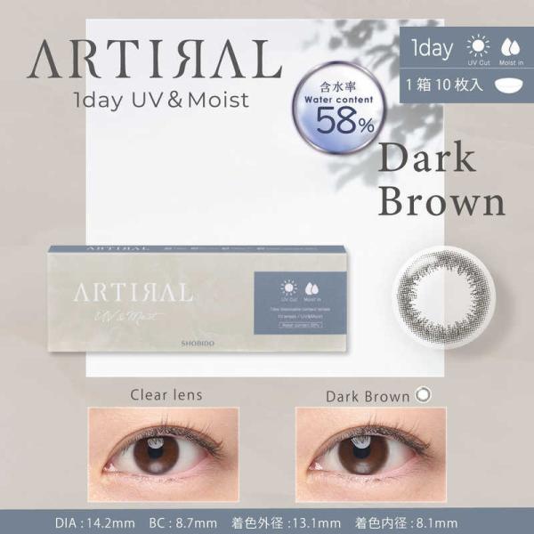 粧美堂　(度あり/-0.50) アーティラル ワンデー UV＆モイスト 58％ ダークブラウン (B...