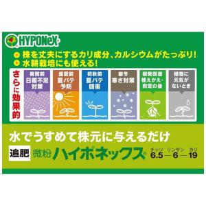 ハイポネックス 微粉 120gの詳細画像3