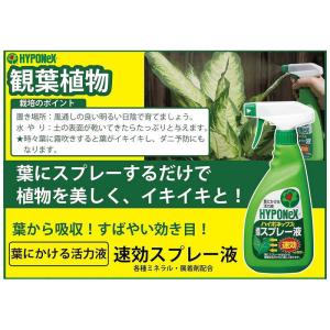 ハイポネックス 速効スプレー液 500ml H...の詳細画像2