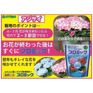 ハイポネックス プロミック いろいろな植物用 ...の詳細画像2