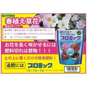 ハイポネックス プロミック いろいろな植物用 ...の詳細画像5