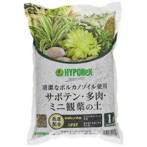ハイポネックス　サボテン・多肉・観葉植物の土 1L　
