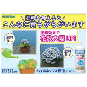 ハイポネックス 原液 800ml 2056436の詳細画像4