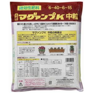 ハイポネックス マグァンプK中粒 2.5kgの詳細画像1