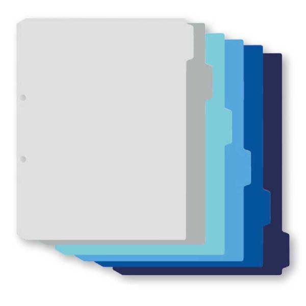 プラス　デジャヴカラーシリーズ　ＰＰ製インデックスシート　Ａ４−Ｓ　４穴・３０穴　FL-102IX