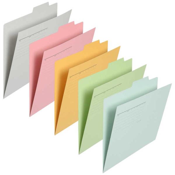 プラス　個別フォルダー 10枚パック A4　FL-061IF-AP