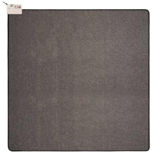 コイズミ KOIZUMI 電気カーペット  KDC20221