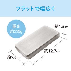 コイズミ KOIZUMI ステンレス保冷剤 コ...の詳細画像5