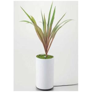 イシグロ グリーンディフューザー タイプA  70090