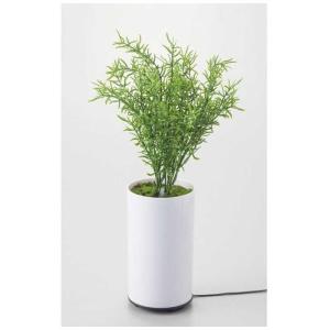 イシグロ グリーンディフューザー タイプB  70091