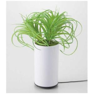 イシグロ グリーンディフューザー タイプC  70092