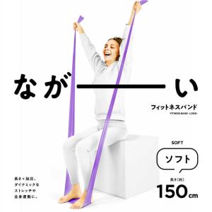 LAVIE フィットネスバンド 3B-3055の買取情報