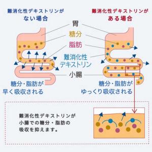 大塚製薬 【特定保健用食品(トクホ)】賢者の食...の詳細画像4