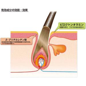 加美乃素本舗 加美乃素薬用ヘアコンディショナー...の詳細画像2