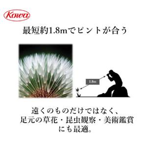 KOWA 8倍双眼鏡「BD25 Series」...の詳細画像4