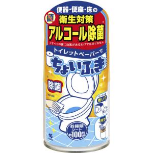 小林製薬 トイレットペーパーでちょいふき 120mlの商品画像